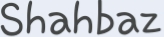 website logo